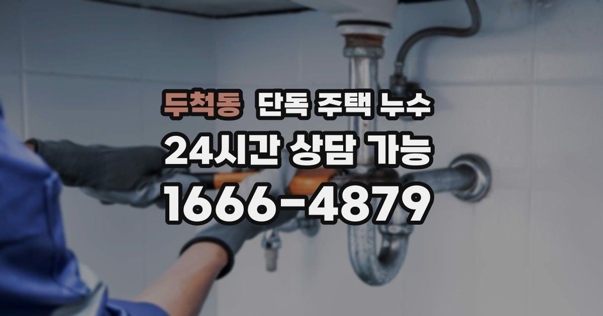 두척동 단독 주택 누수