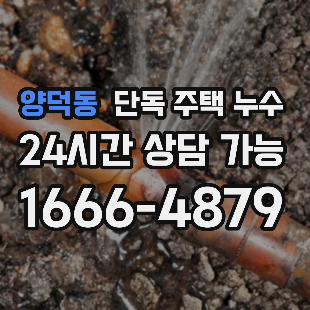 양덕동 단독 주택 누수