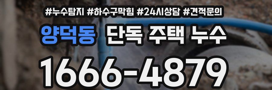양덕동 단독 주택 누수