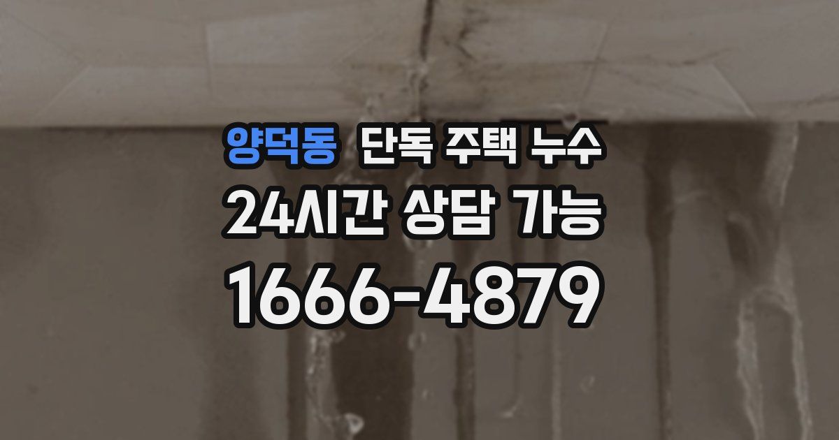 양덕동 단독 주택 누수