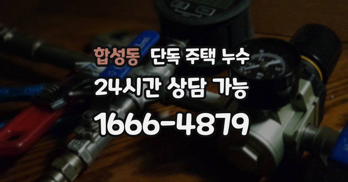 합성동 단독 주택 누수