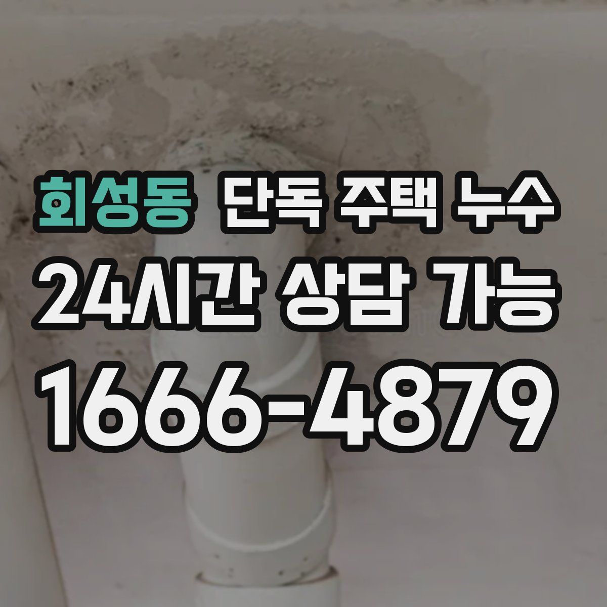 회성동 단독 주택 누수