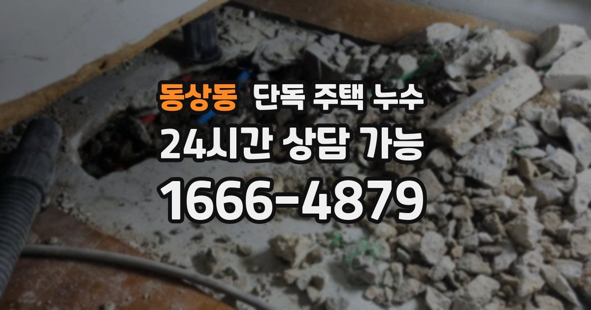 동상동 단독 주택 누수