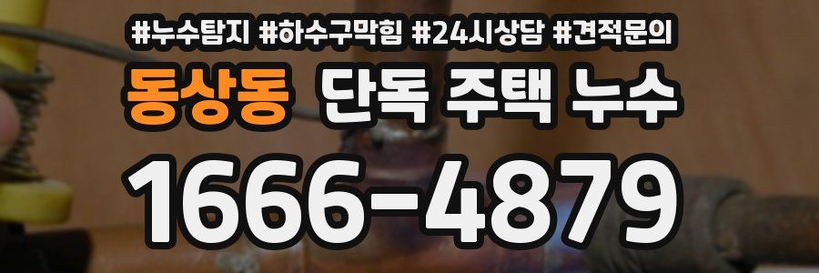 동상동 단독 주택 누수