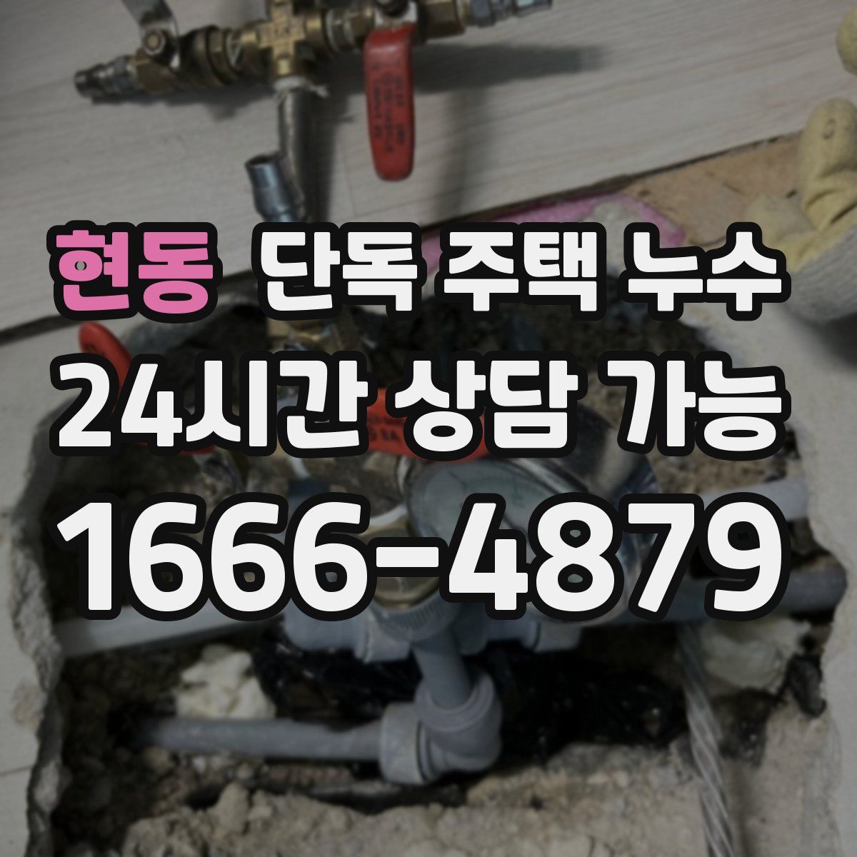 현동 단독 주택 누수