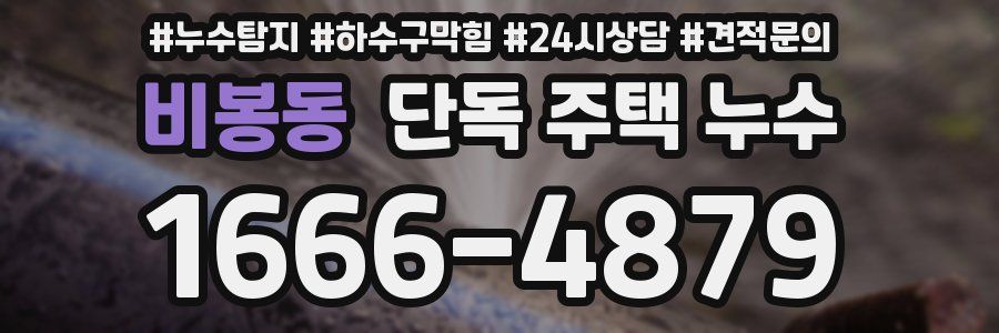 비봉동 단독 주택 누수