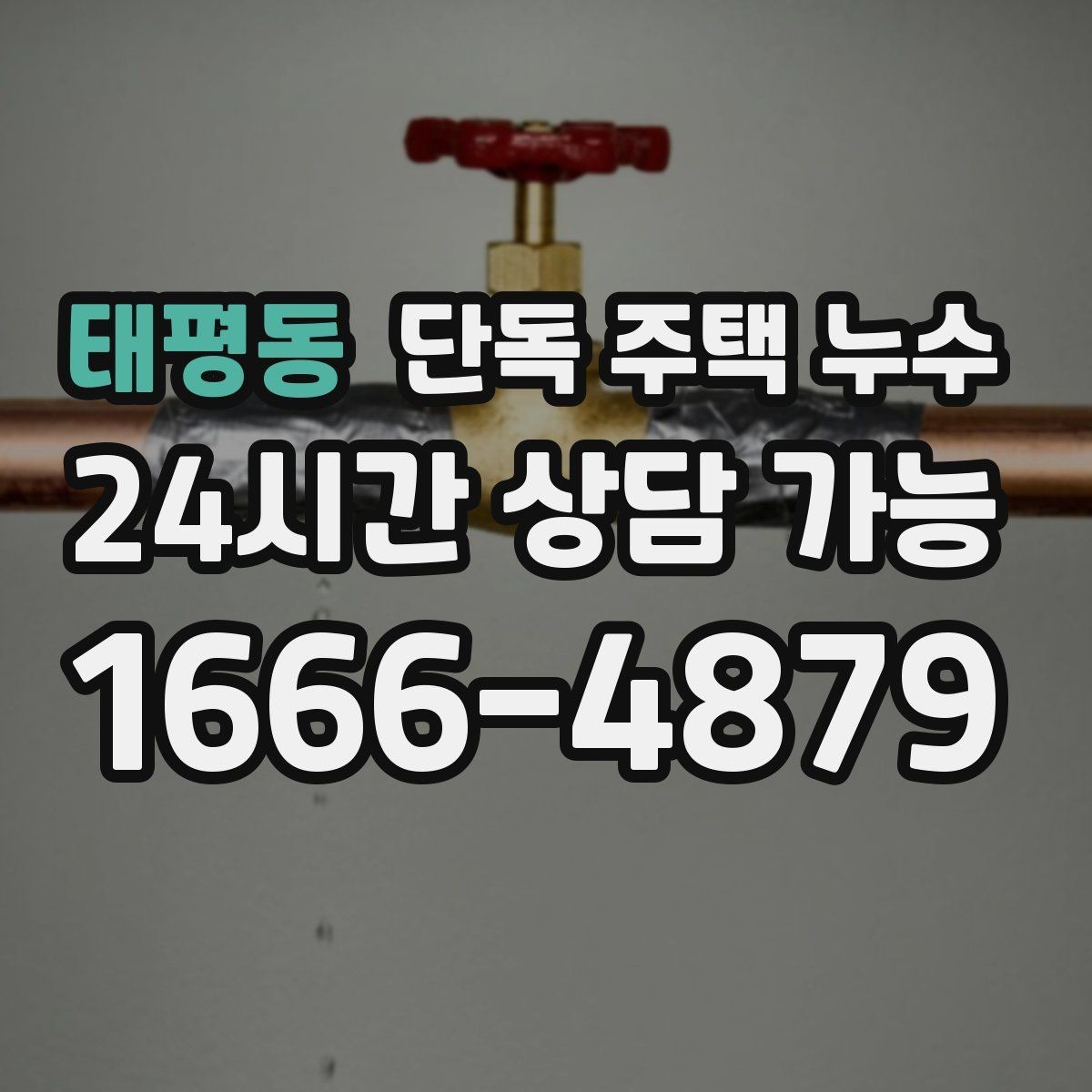 태평동 단독 주택 누수 비가 그치면 멈추는 누수의 특징