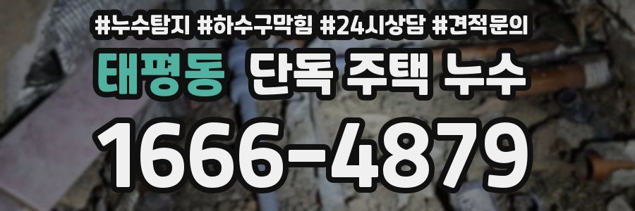 태평동 단독 주택 누수