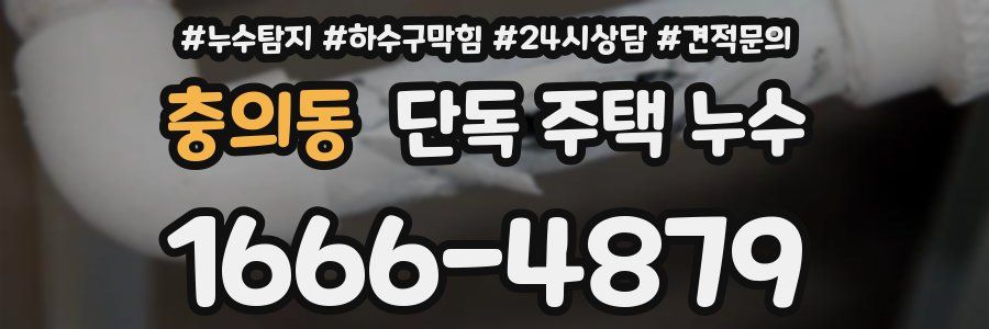 충의동 단독 주택 누수