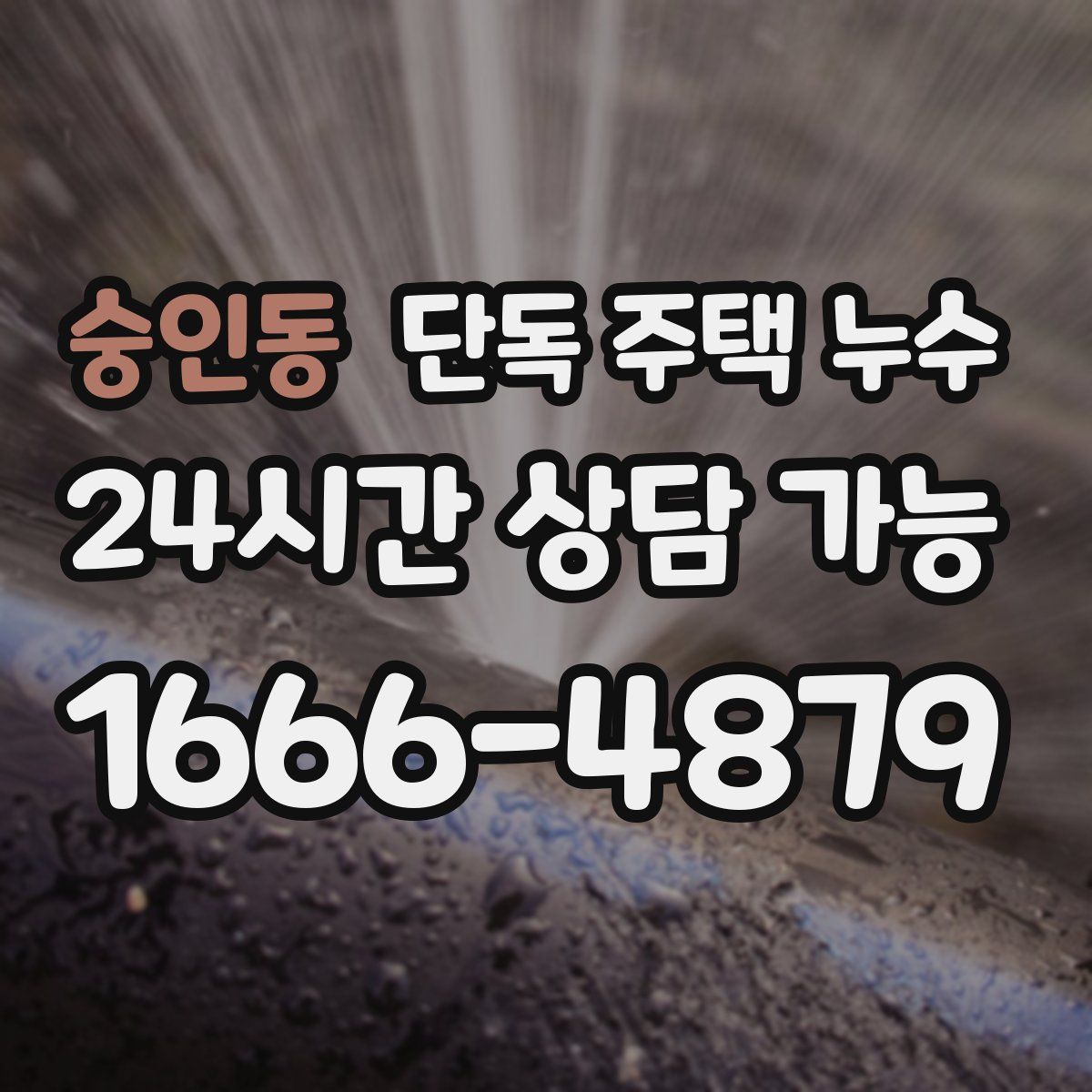 숭인동 단독 주택 누수