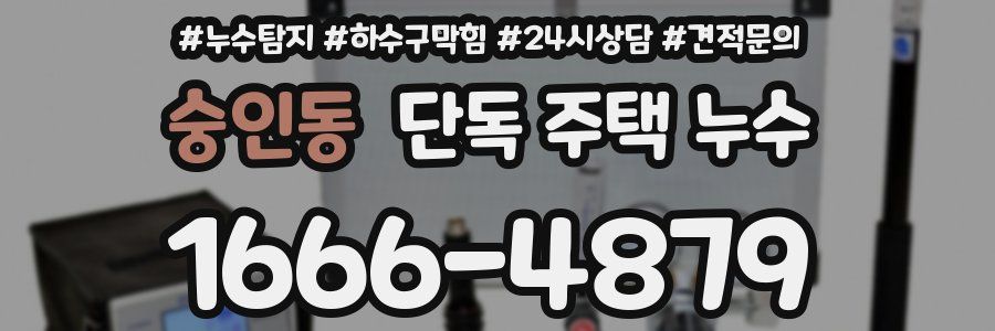 숭인동 단독 주택 누수