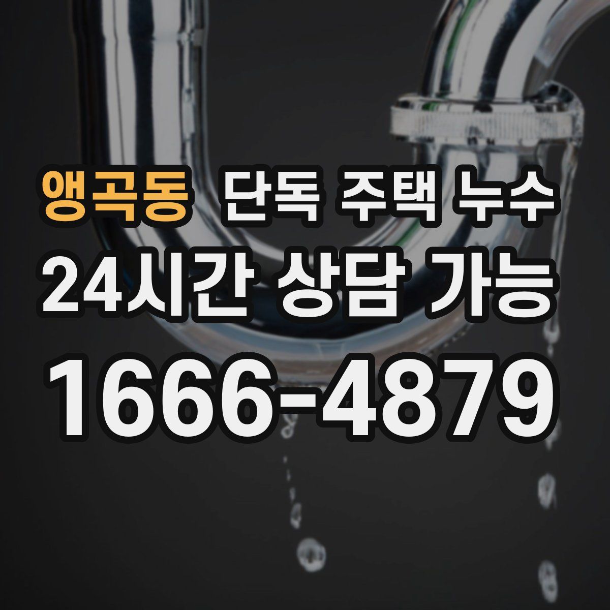 앵곡동 단독 주택 누수