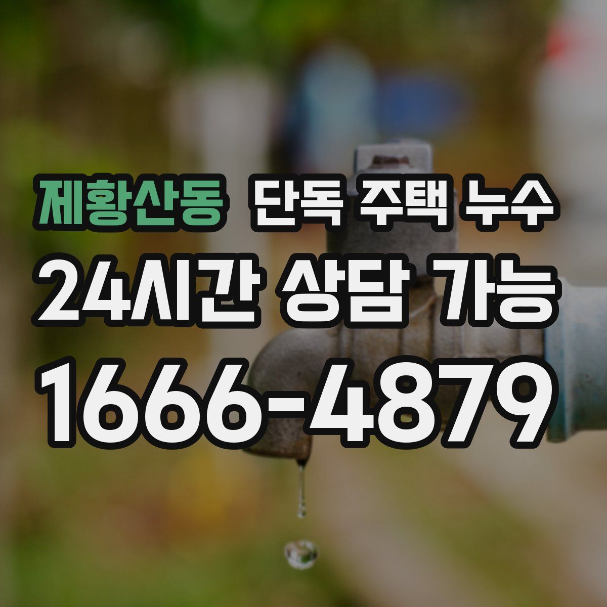 제황산동 단독 주택 누수