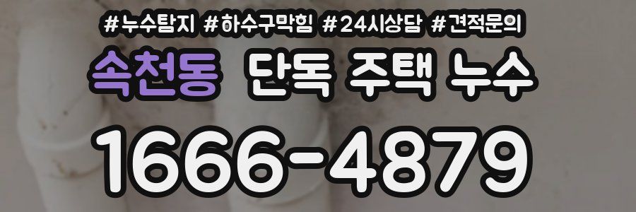 속천동 단독 주택 누수