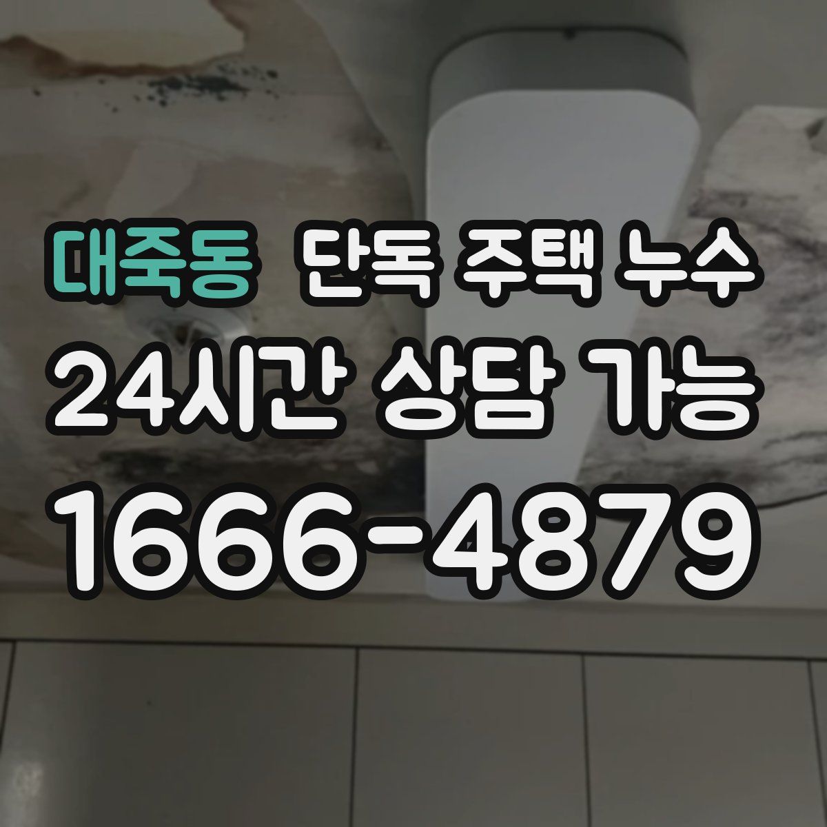 대죽동 단독 주택 누수