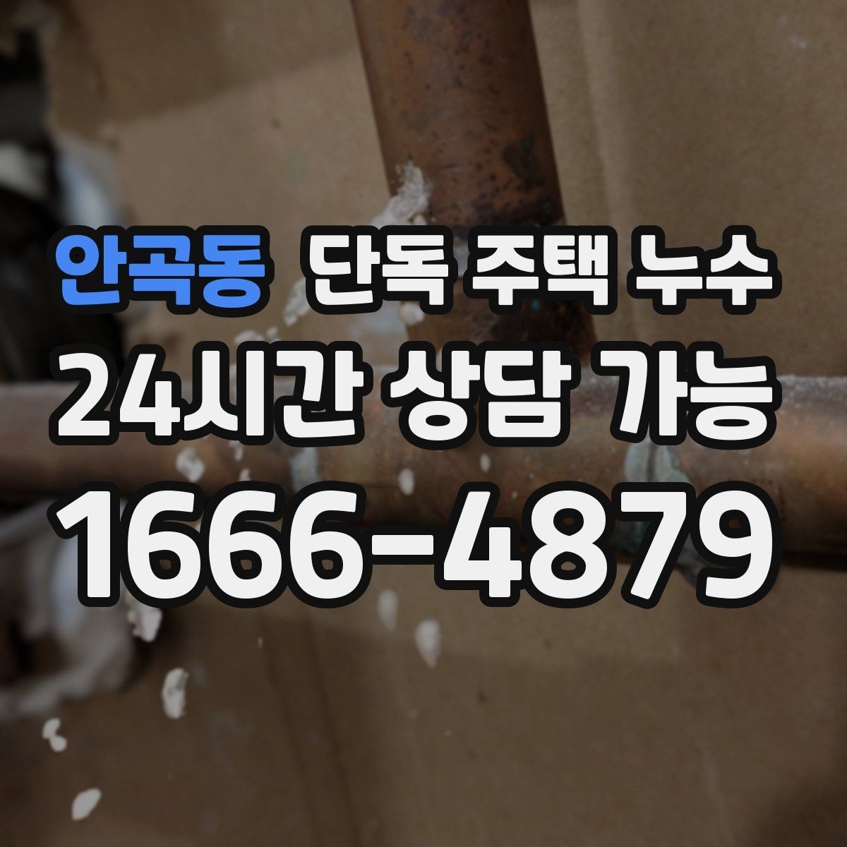 안곡동 단독 주택 누수 재발 없는 수리를 위한 증상 정리 방법