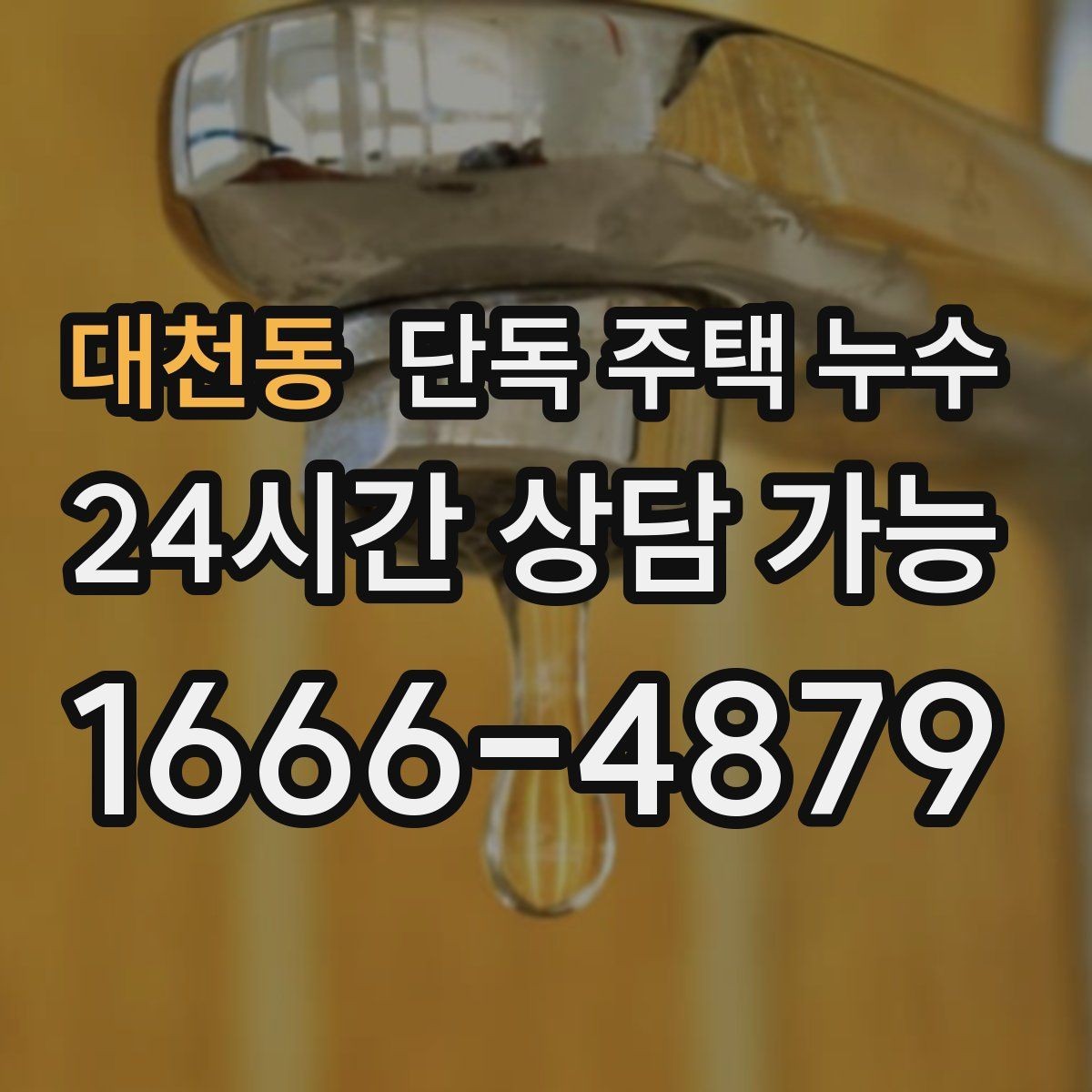 대천동 단독 주택 누수 세탁실 바닥이 늘 젖어있는 이유