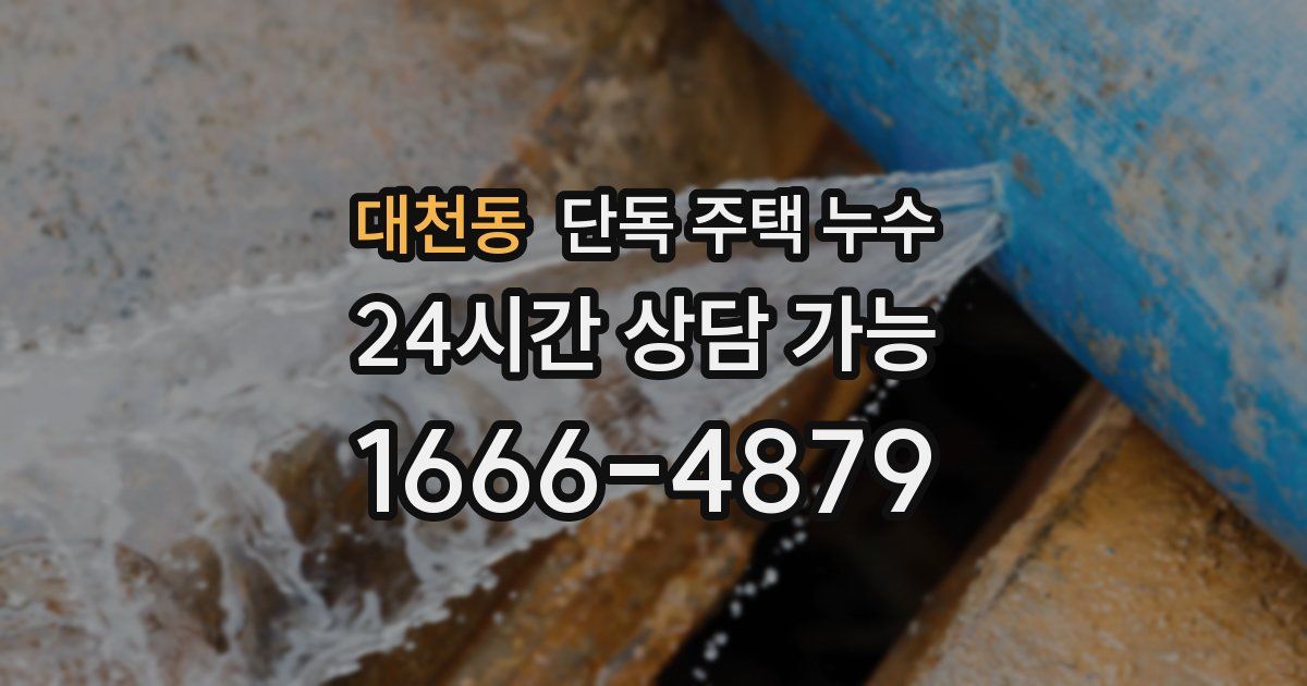 대천동 단독 주택 누수