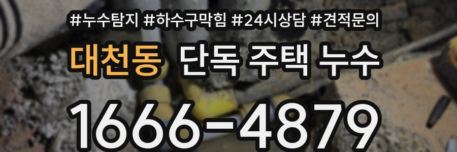 대천동 단독 주택 누수