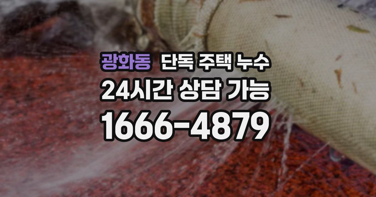 광화동 단독 주택 누수