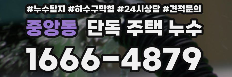 중앙동 단독 주택 누수