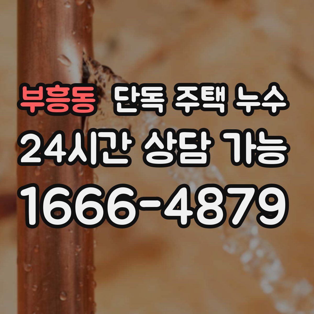 부흥동 단독 주택 누수