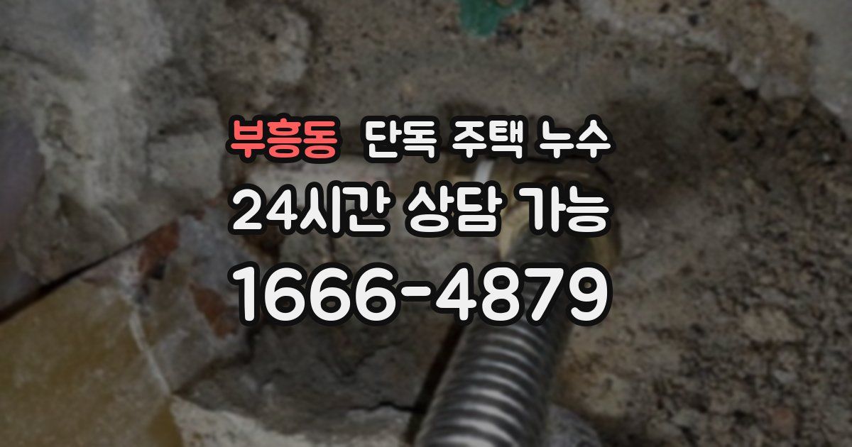 부흥동 단독 주택 누수