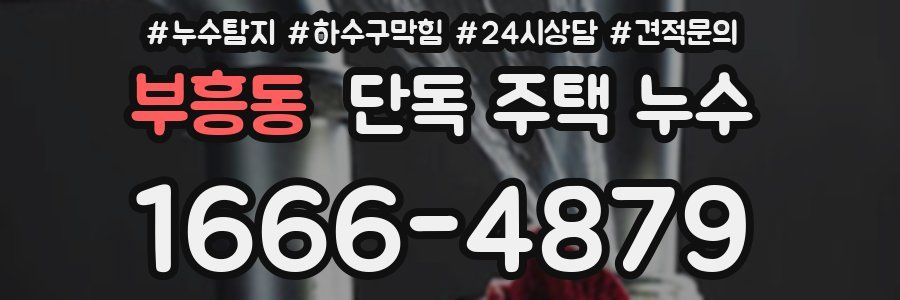 부흥동 단독 주택 누수