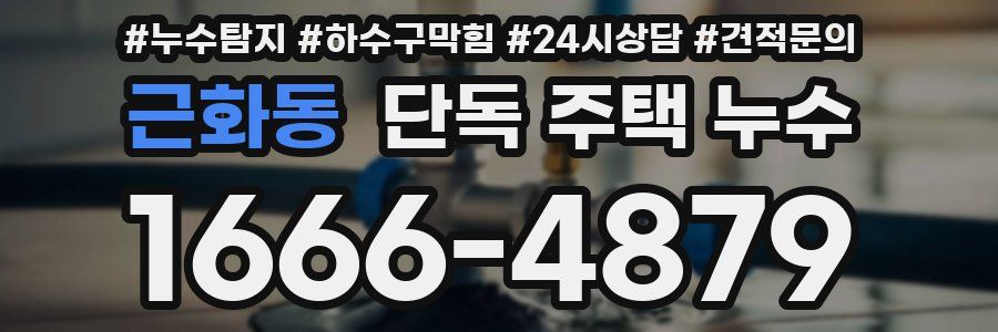 근화동 단독 주택 누수