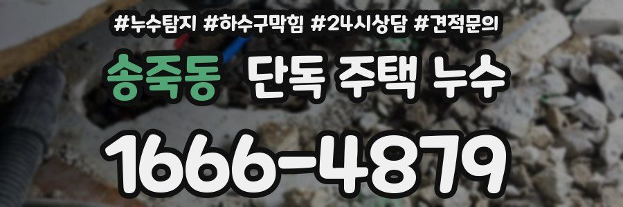 송죽동 단독 주택 누수