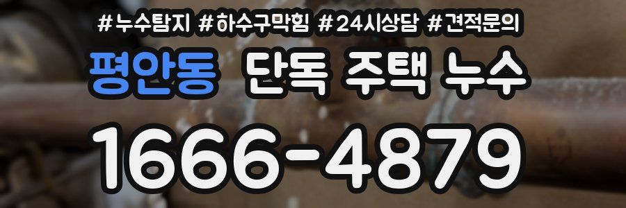 평안동 단독 주택 누수