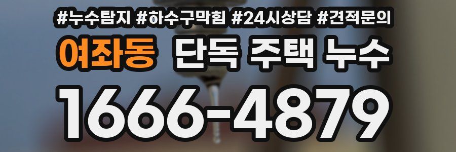 여좌동 단독 주택 누수