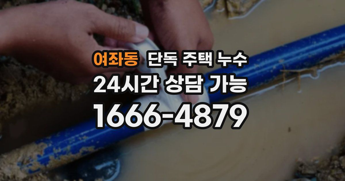 여좌동 단독 주택 누수