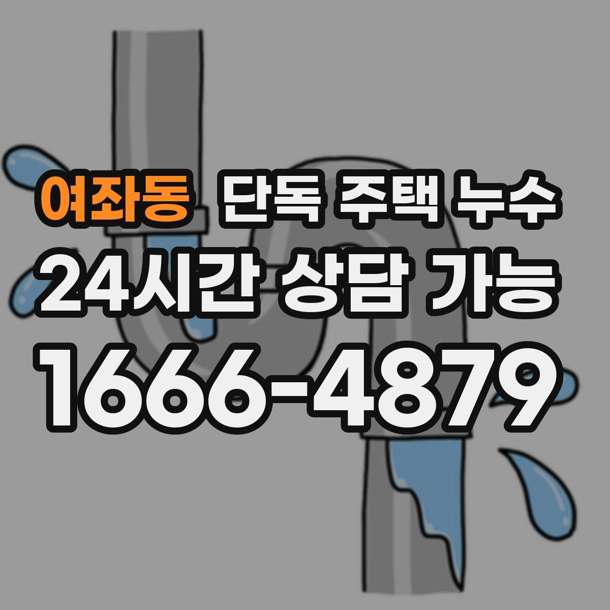 여좌동 단독 주택 누수