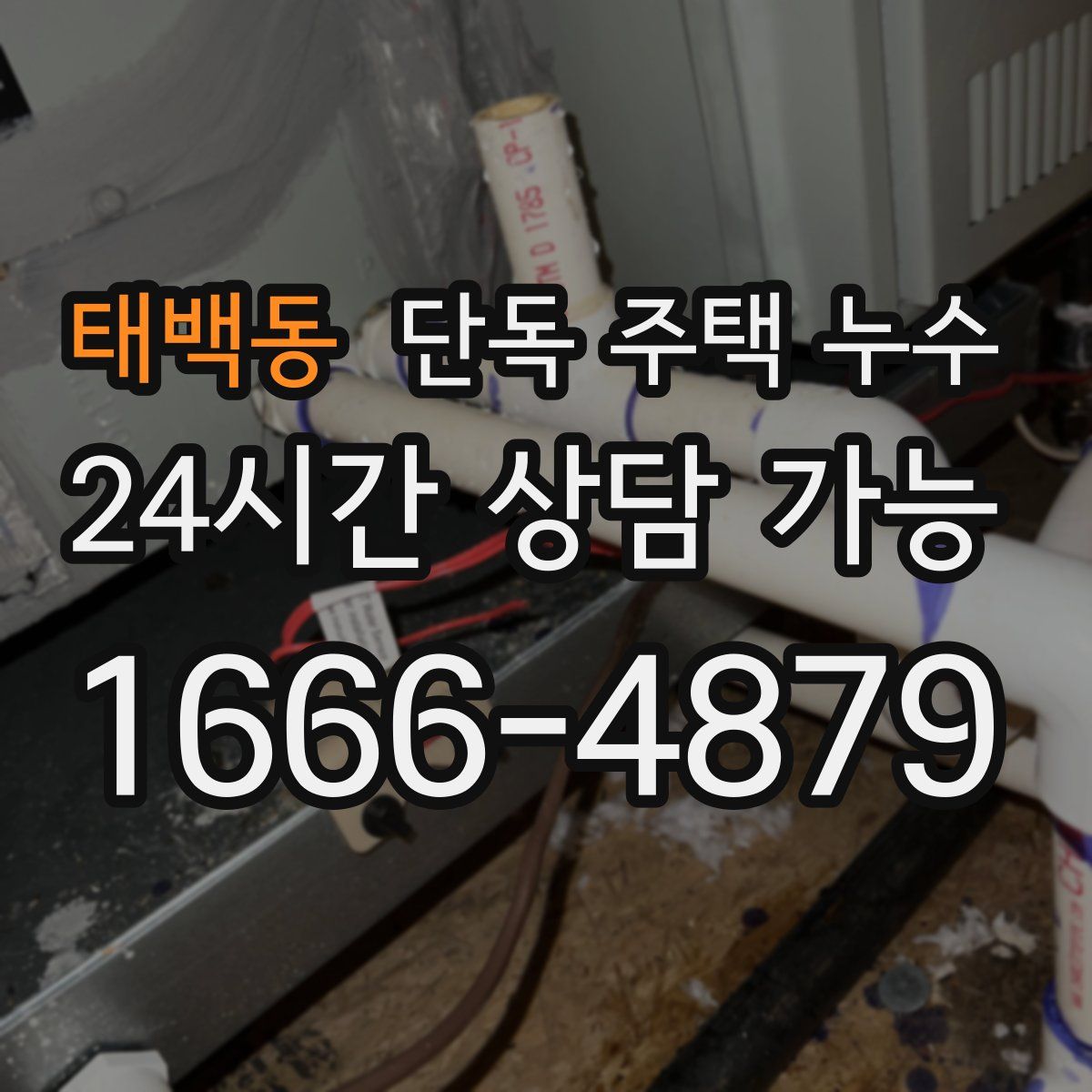 태백동 단독 주택 누수