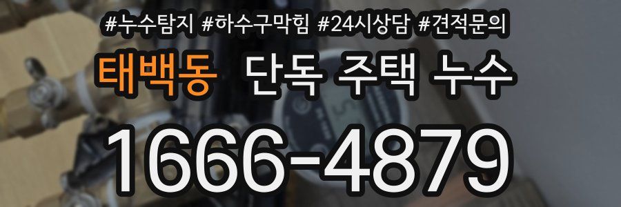 태백동 단독 주택 누수