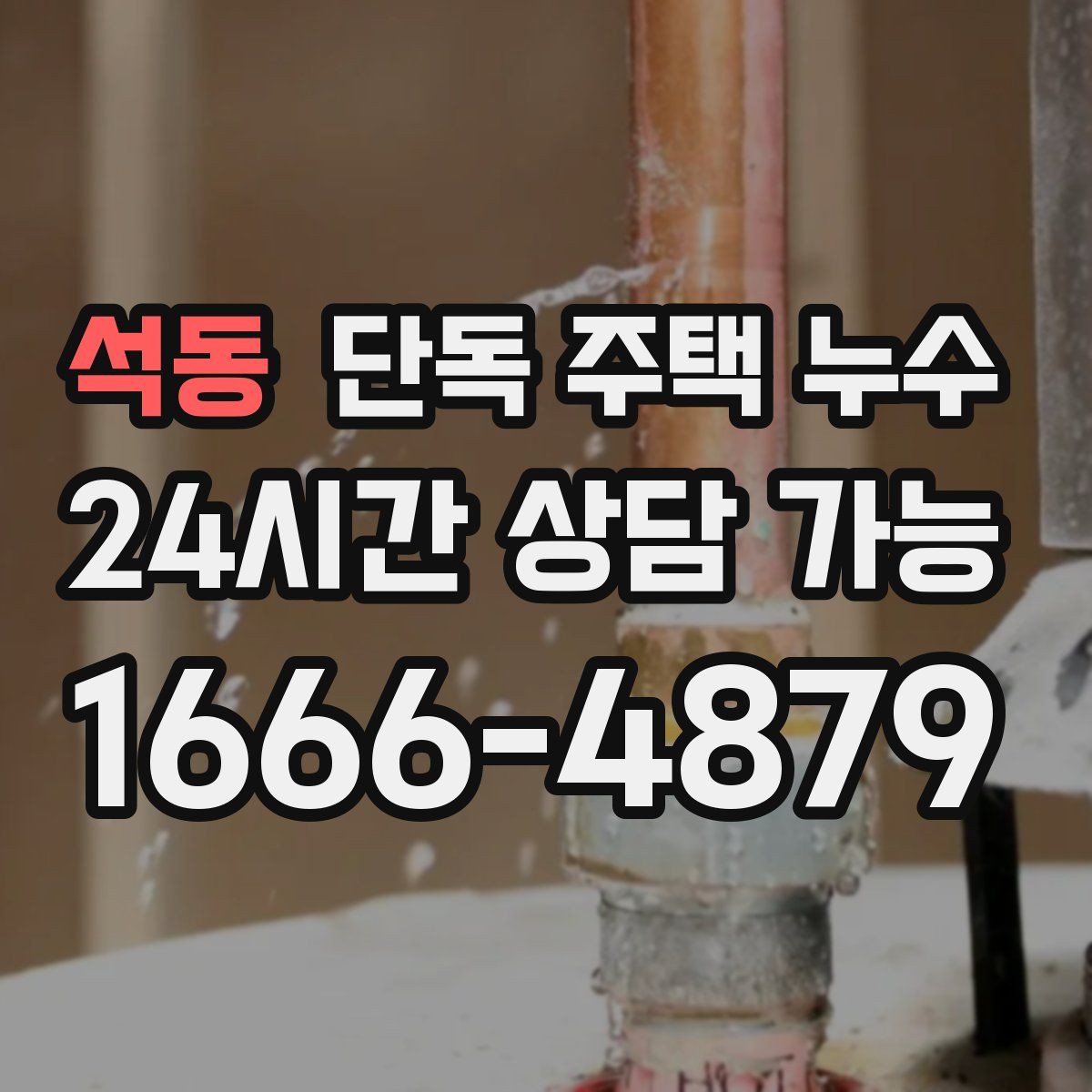 석동 단독 주택 누수