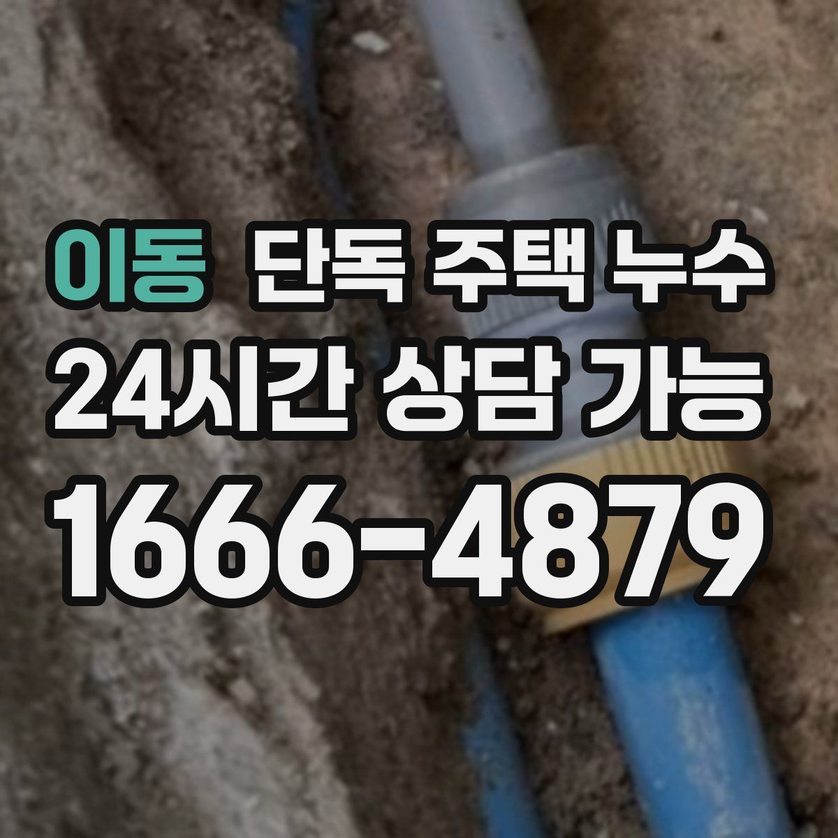 이동 단독 주택 누수