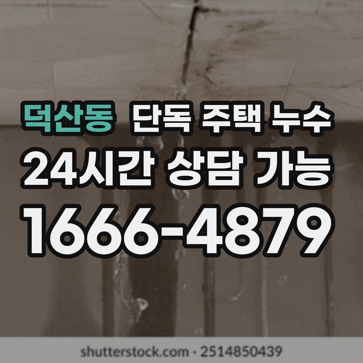 덕산동 단독 주택 누수 배수 불량으로 기초부가 젖는 경우