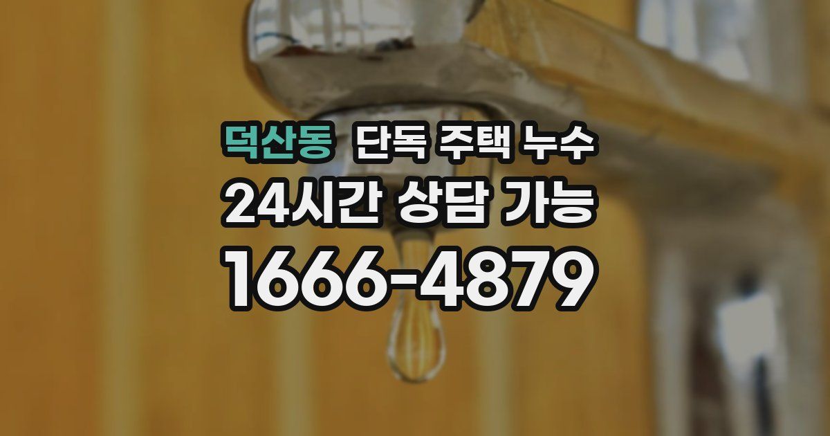 덕산동 단독 주택 누수