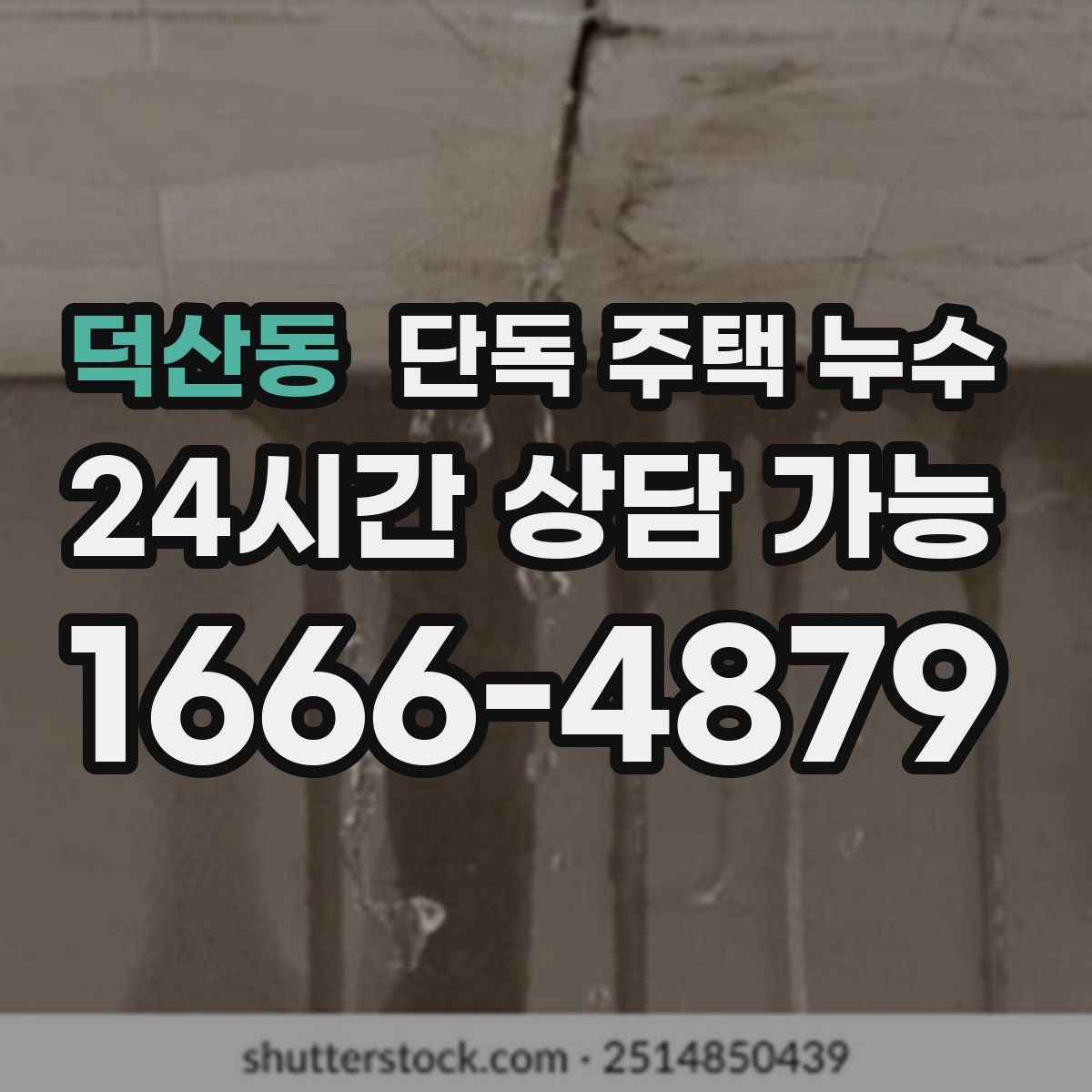 덕산동 단독 주택 누수