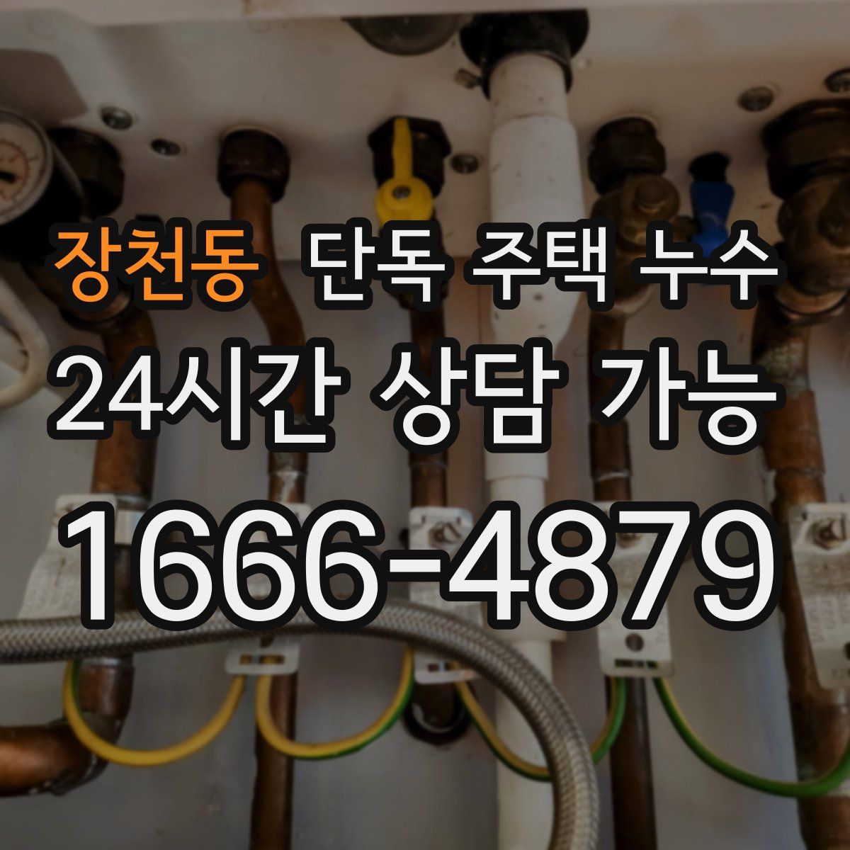 장천동 단독 주택 누수