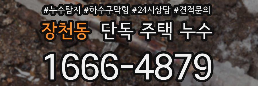 장천동 단독 주택 누수