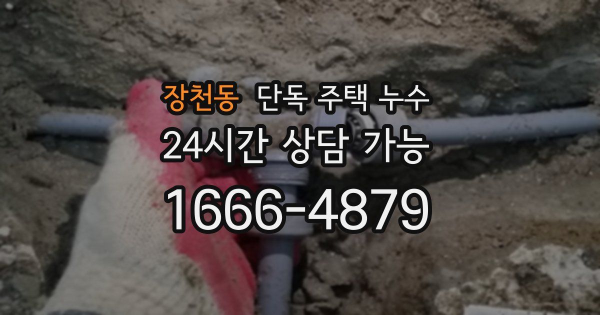 장천동 단독 주택 누수