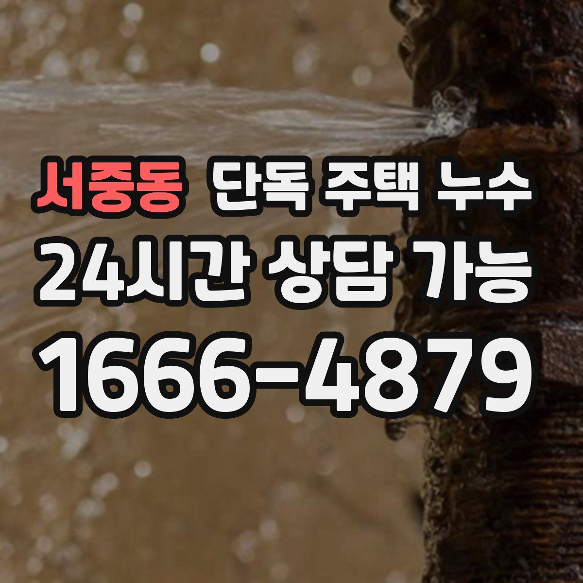 서중동 단독 주택 누수