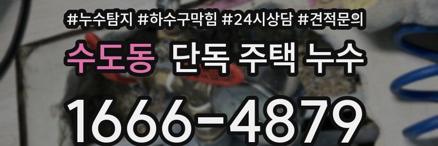 수도동 단독 주택 누수