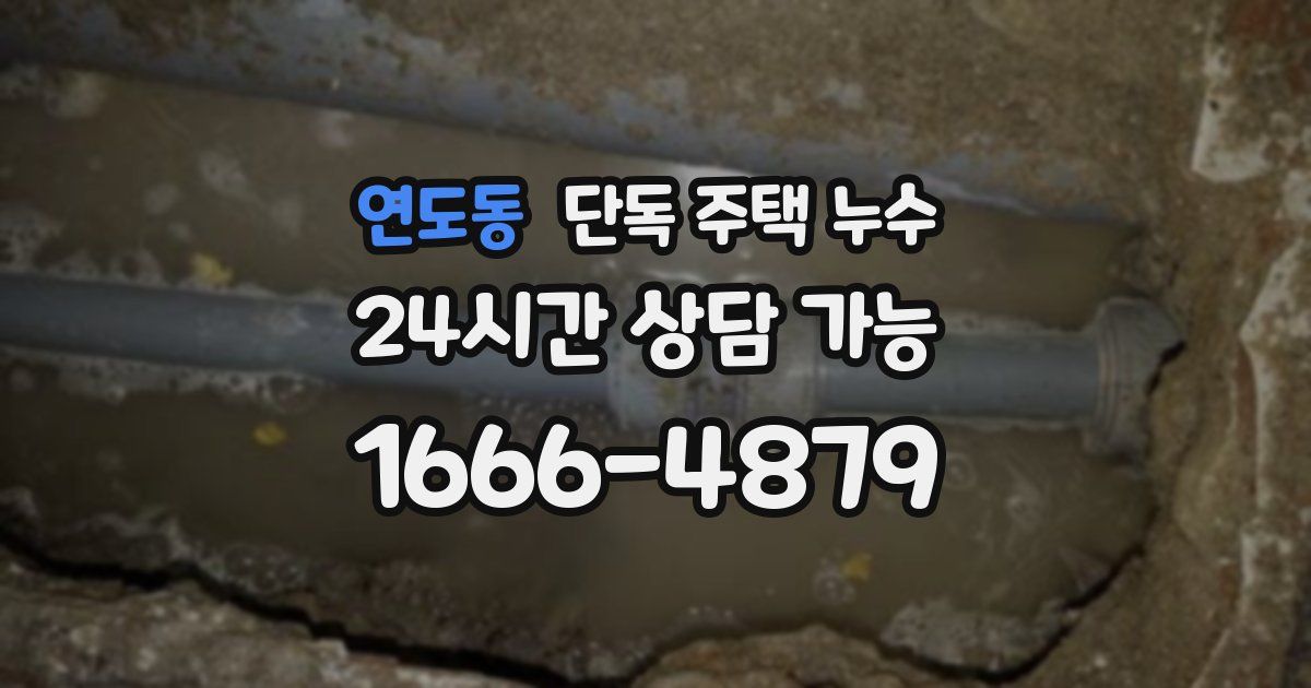 연도동 단독 주택 누수