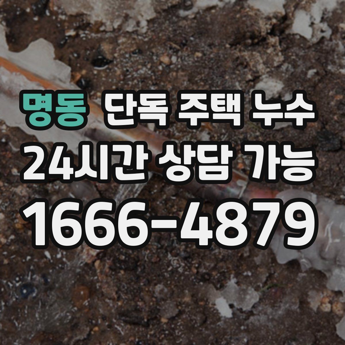 명동 단독 주택 누수 방수 공사 전 확인해야 할 핵심