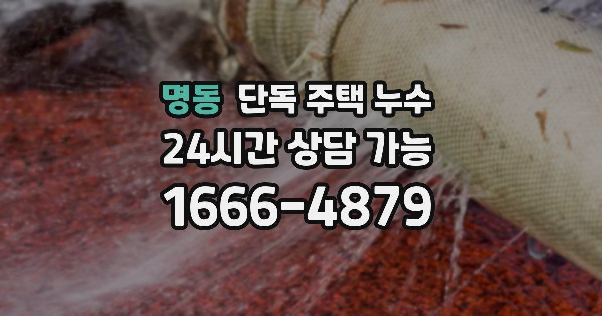 명동 단독 주택 누수