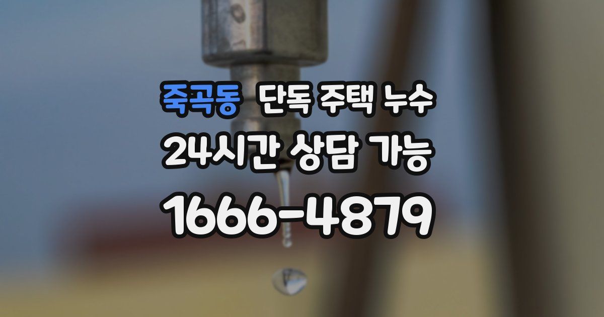 죽곡동 단독 주택 누수